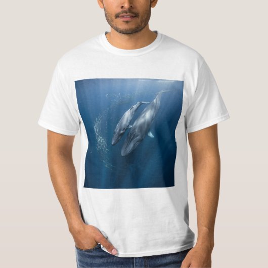 Ballenas azules enamoradas T-Shirt (Vorderseite)
