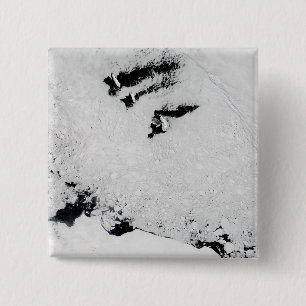 Balleny Inseln, nahe der Antarktis Button