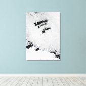 Balleny Islands in der Nähe der Antarktis Leinwanddruck (Insitu (Holzboden))