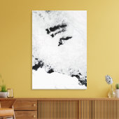 Balleny Islands in der Nähe der Antarktis Leinwanddruck (Insitu (Wohnzimmer))