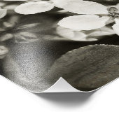 Ballerina Blossoms Vintages Foto drucken (Ecke)