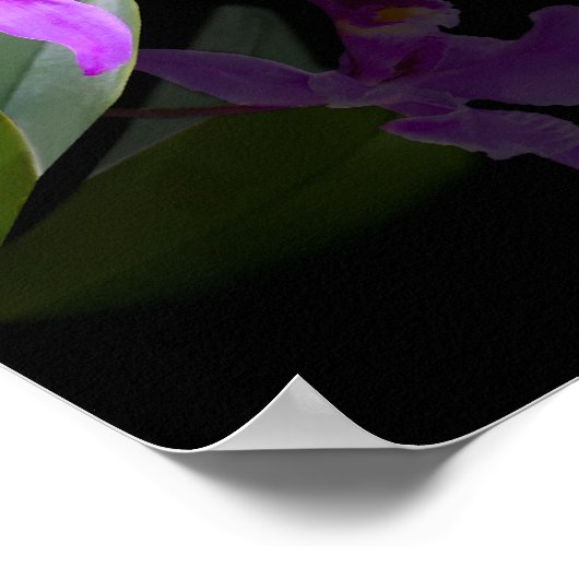 Ballerina mit Orchid auf schwarz Poster (Ecke)