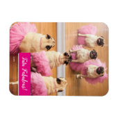 Ballerina-Mops in Tutus Magnet (Horizontal)