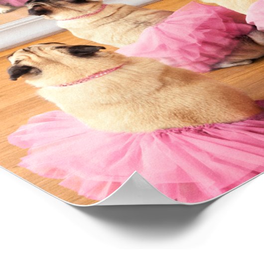 Ballerina-Mops in Tutus Poster (Ecke)
