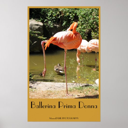 Ballerina Prima Donna Poster! Poster (Vorne)