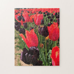 Ballerina & Queen of the Night Tulips Puzzle