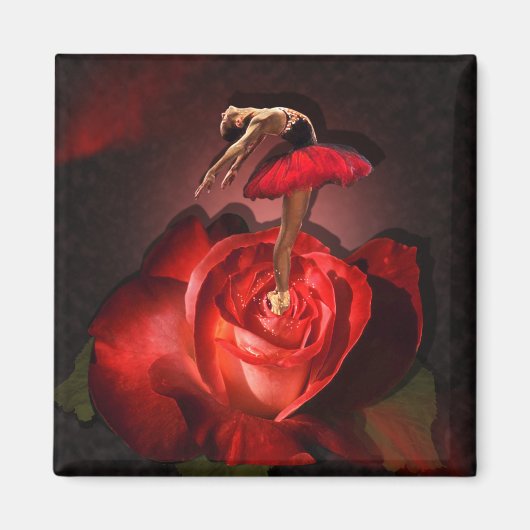 Ballerina Rose - Magnet (Vorne)