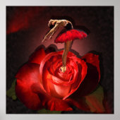 Ballerina Rose - Poster (Vorne)