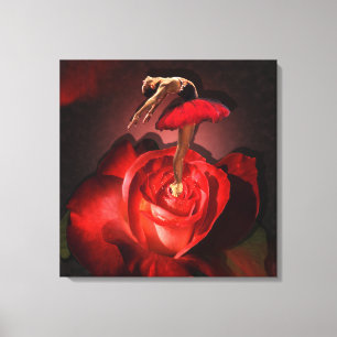 Ballerina Rose - überzogene Canvas Leinwanddruck