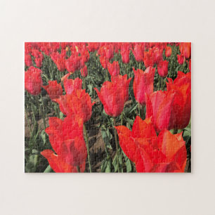 Ballerina Tulips, Oregon Puzzle