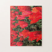 Ballerina Tulips, Oregon Puzzle (Vertikal)