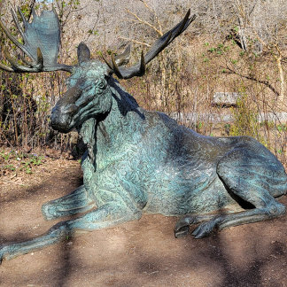 Ballerina und Robot T-Shirt