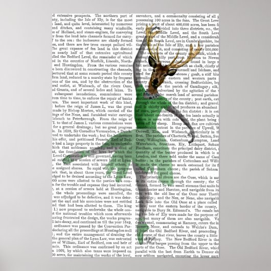 Ballet Dealer in Green Poster (Vorne)