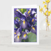 Ballet Iris Foto Grußkarte. Karte (Gelbe Blume)