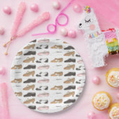 Ballet Jazz Steche Lyrical Acro Character Dance Sh Pappteller (Party)