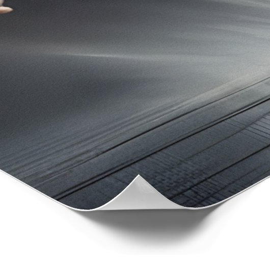 Ballet Poster (Ecke)