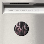 Ballet Shoes Magnet (In Situ (Geschirrspüler))