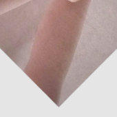 Ballet Shoes Tissue Seidenpapier (Ausschnitt)