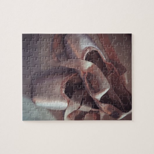 Ballett-Schuhe Puzzle (Horizontal)