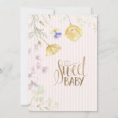 Ballettschuhe Stripe Wildblumen Geburtstag Einladung (Rückseite)