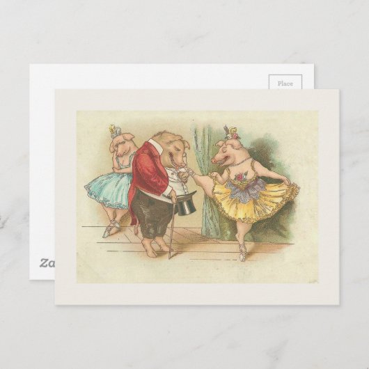 Ballettschwein Postkarte (Vorne/Hinten)