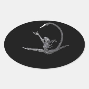 Balletttänzer aus dem Weltraum Ovaler Aufkleber