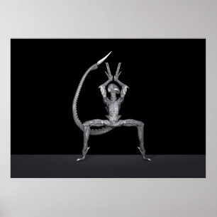 Balletttänzer aus dem Weltraum Poster