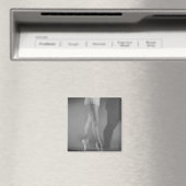 Balletttänzer Magnet (In Situ (Geschirrspüler))