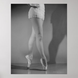Balletttänzer Poster