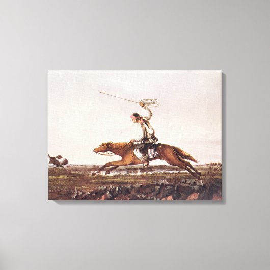 Balling Ostriches Leinwanddruck (Vorderseite)