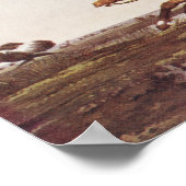 Balling Ostriches Poster (Ecke)