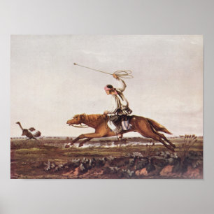 Ballings-Sträuße Poster