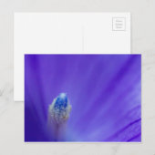 Ballon-Blume Postkarte (Vorne/Hinten)