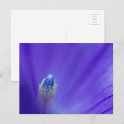 Ballon-Blume Postkarte (Vorne/Hinten)