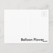 Ballon-Blume Postkarte (Rückseite)