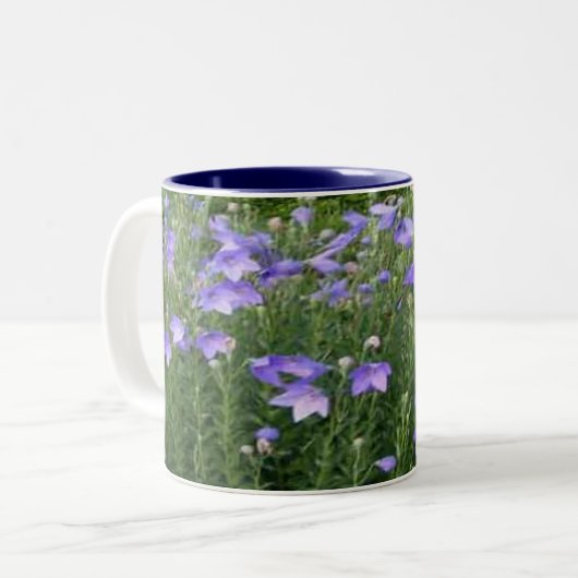 Ballon-Blumen Zweifarbige Tasse (Vorderseite Links)