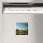 Ballon Festival Magnet (In Situ (Geschirrspüler))