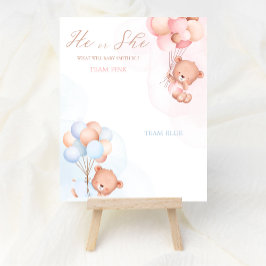 Balloon Bear Boy oder Girl Gender Reveal Vote Post Poster