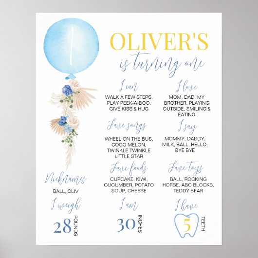Balloon Boy First Birthday Milestone Zeichen Poster (Vorne)
