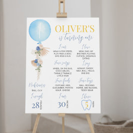 Balloon Boy First Birthday Milestone Zeichen Poster