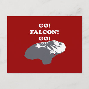Balloon Boy - Go Falcon Go Postkarte