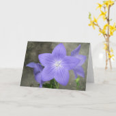Balloon Flower Karte (Gelbe Blume)