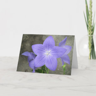 Balloon Flower Karte