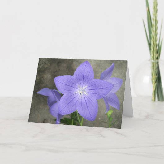 Balloon Flower Karte (Vorderseite)