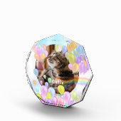 Balloon Pastel Animal Pet Fotoblock (Rechts)