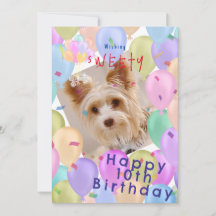 Balloon Pet Pastel Foto