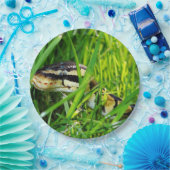 Ballpythonschlange in grass.png pappteller (Party)