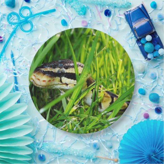Ballpythonschlange in grass.png pappteller (Party)