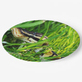 Ballpythonschlange in grass.png pappteller (Schrägansicht)