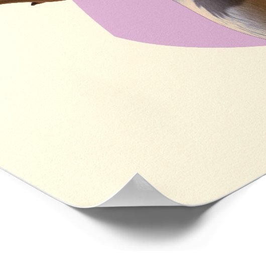 Baloo 1 2 poster (Ecke)